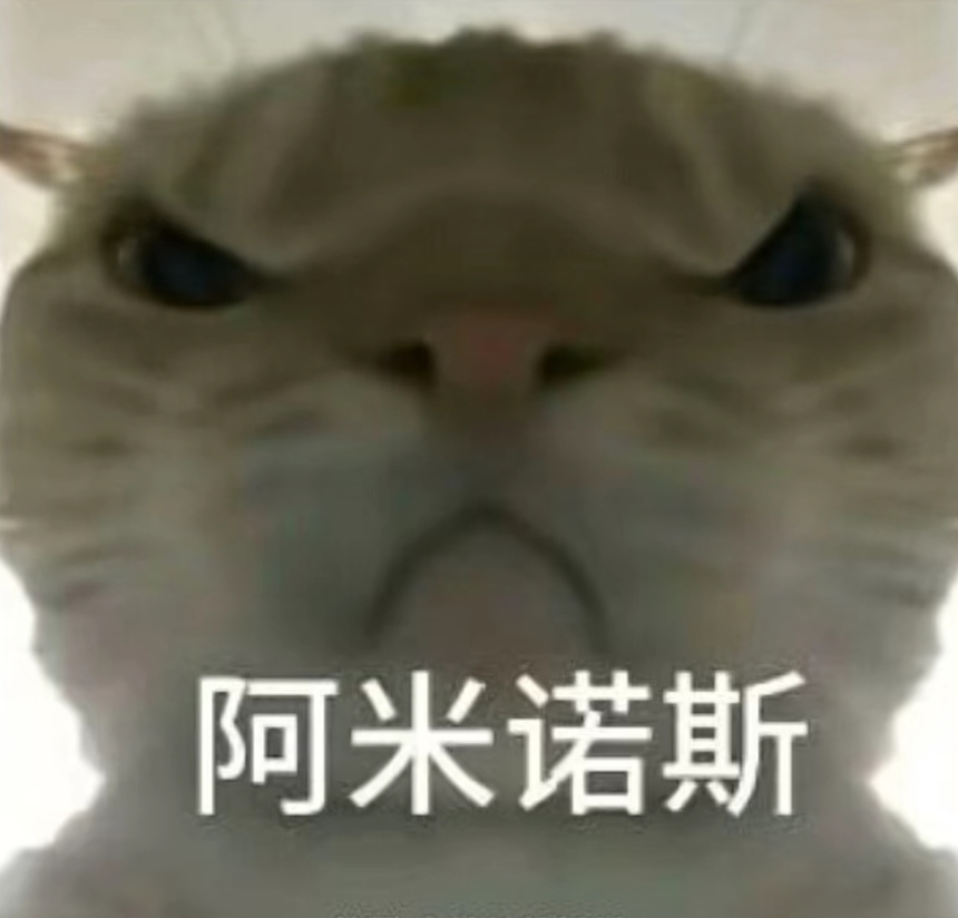 库尼亚最终